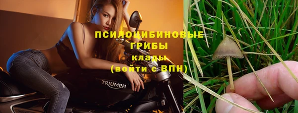 стафф Волосово