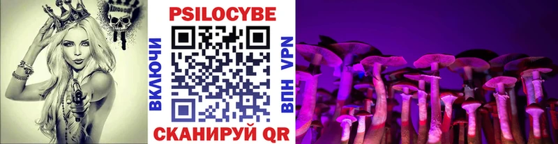 купить наркотик  Ставрополь  Галлюциногенные грибы MAGIC MUSHROOMS 